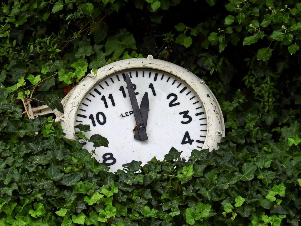 Dlaczego psychoterapia tyle trwa i dlaczego tak musi być? clock, time, time display, clock face, analog, old, nature, nostalgia, antique, ivy, leaves, green, passed, sense