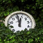 Dlaczego psychoterapia tyle trwa i dlaczego tak musi być?