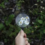 O błędzie detektywistycznym w pomaganiu