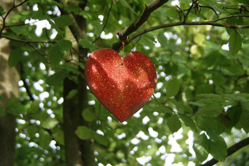 Dlaczego wciąż trafiam na podobnych ludzi? A sparkling red heart ornament hanging from a tree branch in lush green foliage.